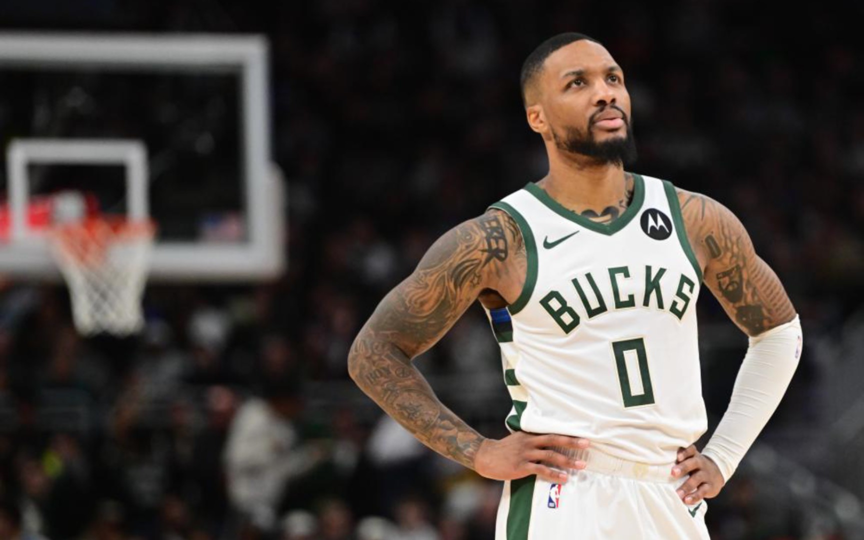 来了全新的 来了全新的